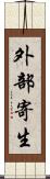 外部寄生 Scroll