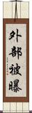 外部被曝 Scroll