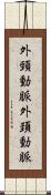 外頸動脈 Scroll