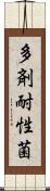 多剤耐性菌 Scroll