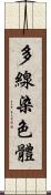 多線染色體 Scroll