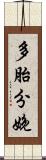 多胎分娩 Scroll