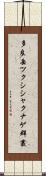 多良岳ツクシシャクナゲ群叢 Scroll