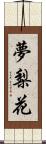 夢梨花 Scroll