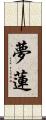 夢蓮 Scroll