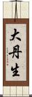 大丹生 Scroll
