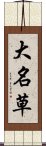 大名草 Scroll