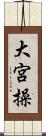 大宮操 Scroll