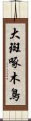 大斑啄木鳥 Scroll