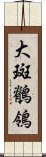 大斑鶺鴒 Scroll