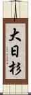 大日杉 Scroll