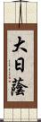 大日蔭 Scroll