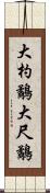 大杓鷸 Scroll