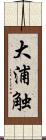 大浦触 Scroll