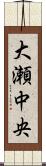 大瀬中央 Scroll