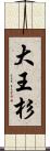 大王杉 Scroll