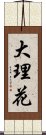 大理花 Scroll