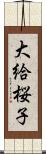 大給桜子 Scroll