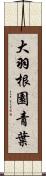 大羽根園青葉 Scroll