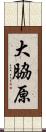大脇原 Scroll