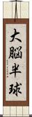 大脳半球 Scroll