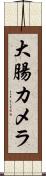 大腸カメラ Scroll