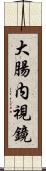 大腸内視鏡 Scroll