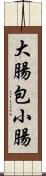 大腸包小腸 Scroll