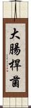 大腸桿菌 Scroll