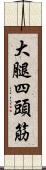 大腿四頭筋 Scroll
