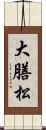 大膳松 Scroll