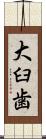 大臼歯 Scroll
