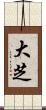 大芝 Scroll