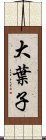 大葉子 Scroll