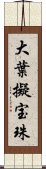 大葉擬宝珠 Scroll