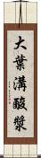 大葉溝酸漿 Scroll