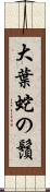 大葉蛇の鬚 Scroll