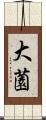 大薗 Scroll