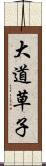 大道草子 Scroll