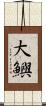 大鱮 Scroll