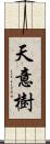 天意樹 Scroll