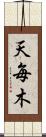 天毎木 Scroll