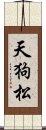 天狗松 Scroll