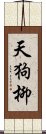 天狗柳 Scroll