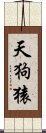 天狗猿 Scroll