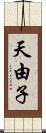 天由子 Scroll