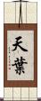 天葉 Scroll