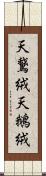天鵞絨 Scroll