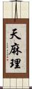 天麻理 Scroll