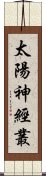 太陽神經叢 Scroll